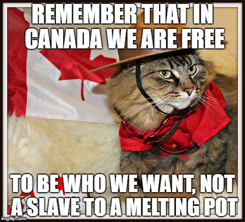 Canada Cat | REMEMBER THAT IN CANADA WE ARE FREE; TO BE WHO WE WANT, NOT A SLAVE TO A MELTING POT | image tagged in canada cat | made w/ Imgflip meme maker