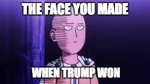 THE FACE YOU MADE; WHEN TRUMP WON | image tagged in one punch man | made w/ Imgflip meme maker
