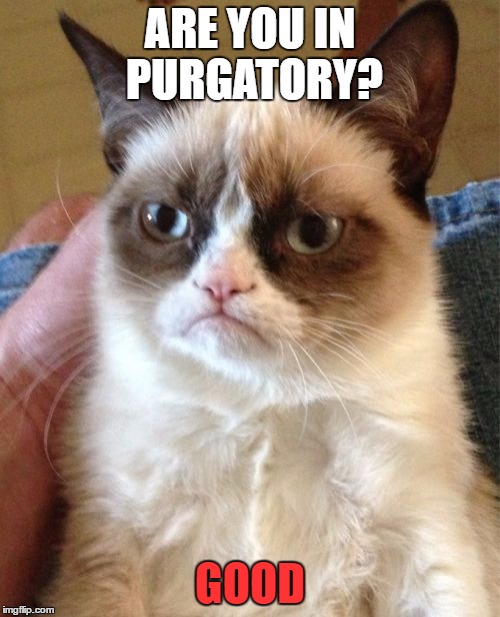 Grumpy Cat Meme | ARE YOU IN PURGATORY? GOOD | image tagged in memes,grumpy cat | made w/ Imgflip meme maker