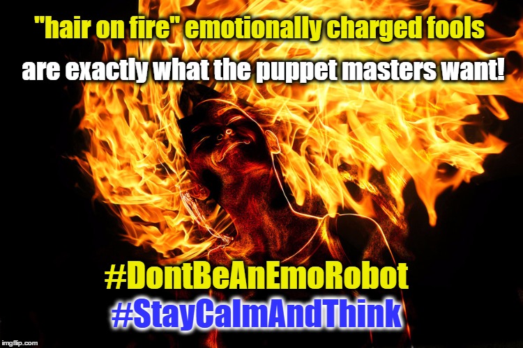 Don't be an Emo Robot | "hair on fire" emotionally charged fools; are exactly what the puppet masters want! #DontBeAnEmoRobot; #StayCalmAndThink | image tagged in hair on fire,stay calm,think | made w/ Imgflip meme maker