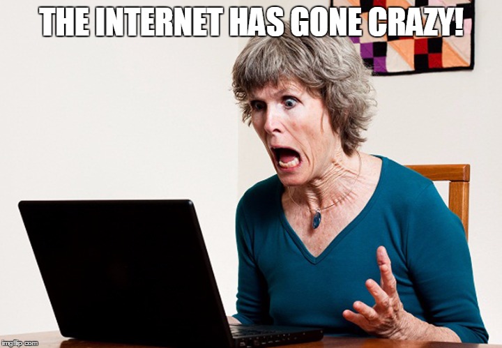 Mom frustrated at laptop | THE INTERNET HAS GONE CRAZY! | image tagged in mom frustrated at laptop | made w/ Imgflip meme maker