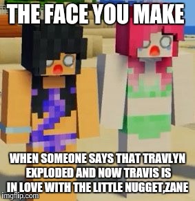 WTF is wrong with you for ruining my OTP  | THE FACE YOU MAKE; WHEN SOMEONE SAYS THAT TRAVLYN EXPLODED AND NOW TRAVIS IS IN LOVE WITH THE LITTLE NUGGET,ZANE | image tagged in meme | made w/ Imgflip meme maker