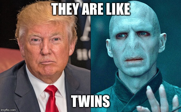 Voldemort and danold | THEY ARE LIKE; TWINS | image tagged in voldemort and danold | made w/ Imgflip meme maker