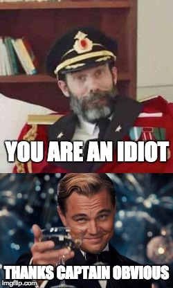 YOU ARE AN IDIOT; THANKS CAPTAIN OBVIOUS | image tagged in captain obvious,leonardo,leonardo dicaprio,leonardo dicaprio cheers | made w/ Imgflip meme maker