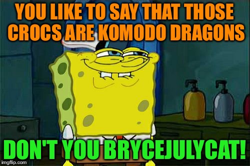 Another Komodo Dragon Meme :D - Use The Username Weekend! | YOU LIKE TO SAY THAT THOSE CROCS ARE KOMODO DRAGONS; DON'T YOU BRYCEJULYCAT! | image tagged in memes,dont you squidward,funny,use someones username in your meme,use the username weekend | made w/ Imgflip meme maker