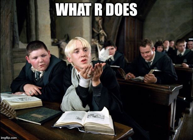 WHAT R DOES | image tagged in malfoy | made w/ Imgflip meme maker