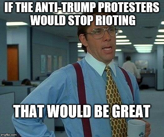 That Would Be Great | IF THE ANTI-TRUMP PROTESTERS WOULD STOP RIOTING; THAT WOULD BE GREAT | image tagged in memes,that would be great | made w/ Imgflip meme maker