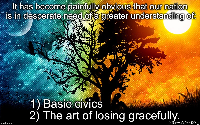 Peace of mind | It has become painfully obvious that our nation is in desperate need of a greater understanding of:; 1) Basic civics                            
2) The art of losing gracefully. | image tagged in peace of mind | made w/ Imgflip meme maker