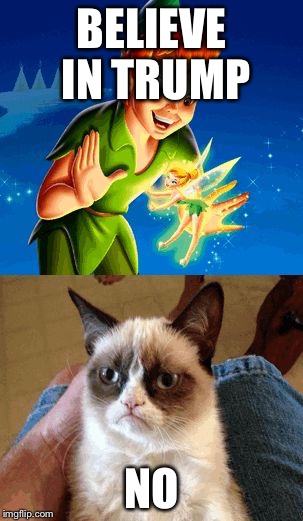 Grumpy Cat Does Not Believe | BELIEVE IN TRUMP; NO | image tagged in memes,grumpy cat does not believe | made w/ Imgflip meme maker
