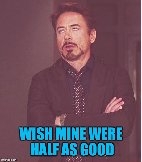Face You Make Robert Downey Jr Meme | WISH MINE WERE HALF AS GOOD | image tagged in memes,face you make robert downey jr | made w/ Imgflip meme maker