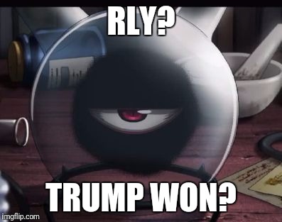 Rly? | RLY? TRUMP WON? | image tagged in rly | made w/ Imgflip meme maker