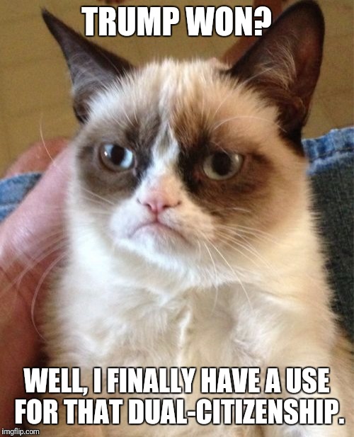 Grumpy Cat | TRUMP WON? WELL, I FINALLY HAVE A USE FOR THAT DUAL-CITIZENSHIP. | image tagged in memes,grumpy cat | made w/ Imgflip meme maker