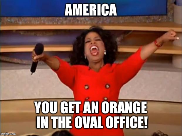 Oprah You Get A | AMERICA; YOU GET AN ORANGE IN THE OVAL OFFICE! | image tagged in memes,oprah you get a | made w/ Imgflip meme maker