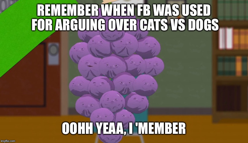 member berries | REMEMBER WHEN FB WAS USED FOR ARGUING OVER CATS VS DOGS; OOHH YEAA, I 'MEMBER | image tagged in member berries | made w/ Imgflip meme maker