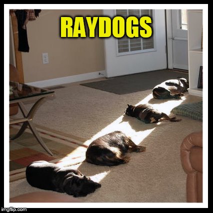 RAYDOGS | made w/ Imgflip meme maker