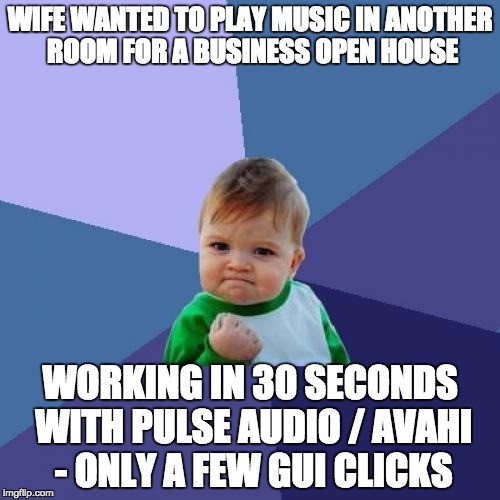 Success Kid Meme | WIFE WANTED TO PLAY MUSIC IN ANOTHER ROOM FOR A BUSINESS OPEN HOUSE; WORKING IN 30 SECONDS WITH PULSE AUDIO / AVAHI - ONLY A FEW GUI CLICKS | image tagged in memes,success kid | made w/ Imgflip meme maker