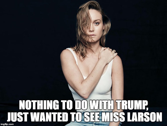 NOTHING TO DO WITH TRUMP, JUST WANTED TO SEE MISS LARSON | image tagged in donald trump,hollywood | made w/ Imgflip meme maker
