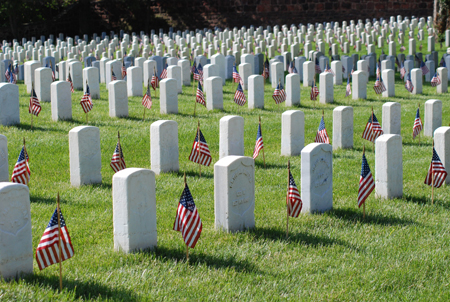 High Quality Veterans graveyard Blank Meme Template