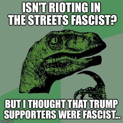 Philosoraptor | ISN'T RIOTING IN THE STREETS FASCIST? BUT I THOUGHT THAT TRUMP SUPPORTERS WERE FASCIST... | image tagged in memes,philosoraptor | made w/ Imgflip meme maker