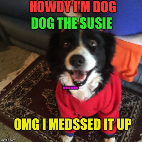 HOWDY I'M DOG; DOG THE SUSIE; ...... OMG I MEDSSED IT UP | image tagged in susie pie | made w/ Imgflip meme maker