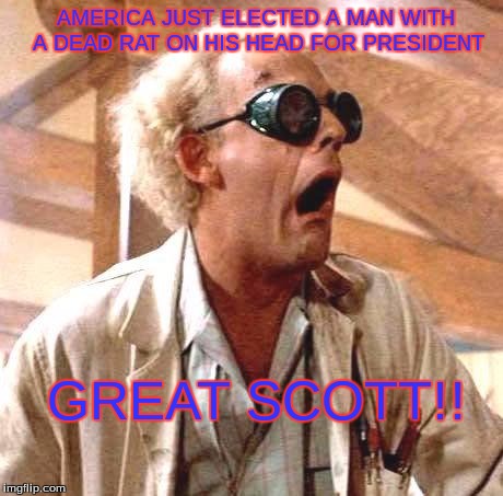 Great Scott!! | AMERICA JUST ELECTED A MAN WITH A DEAD RAT ON HIS HEAD FOR PRESIDENT; GREAT SCOTT!! | image tagged in great scott | made w/ Imgflip meme maker