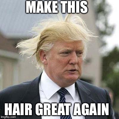Donald Trump | MAKE THIS; HAIR GREAT AGAIN | image tagged in donald trump | made w/ Imgflip meme maker