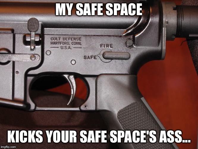 MY SAFE SPACE | MY SAFE SPACE; KICKS YOUR SAFE SPACE'S ASS... | image tagged in safe space,snowflakes | made w/ Imgflip meme maker