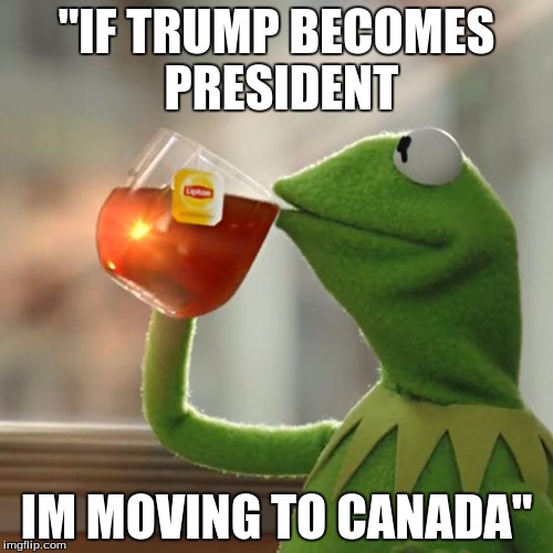 But That's None Of My Business | "IF TRUMP BECOMES PRESIDENT; IM MOVING TO CANADA" | image tagged in memes,but thats none of my business,kermit the frog | made w/ Imgflip meme maker