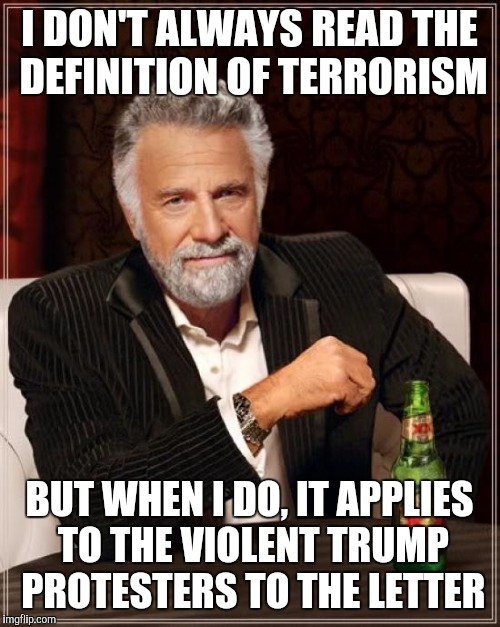 The Most Interesting Man In The World | I DON'T ALWAYS READ THE DEFINITION OF TERRORISM; BUT WHEN I DO, IT APPLIES TO THE VIOLENT TRUMP PROTESTERS TO THE LETTER | image tagged in memes,the most interesting man in the world | made w/ Imgflip meme maker