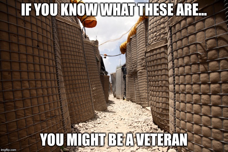 Might be a vet | IF YOU KNOW WHAT THESE ARE... YOU MIGHT BE A VETERAN | image tagged in military | made w/ Imgflip meme maker