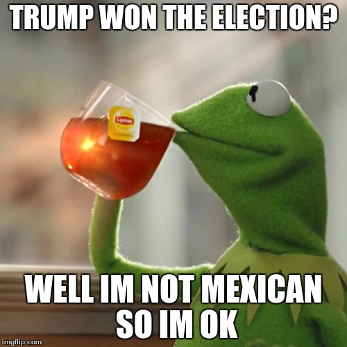 But That's None Of My Business | TRUMP WON THE ELECTION? WELL IM NOT MEXICAN SO IM OK | image tagged in memes,but thats none of my business,kermit the frog | made w/ Imgflip meme maker