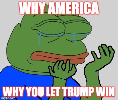 pepe cry | WHY AMERICA; WHY YOU LET TRUMP WIN | image tagged in pepe cry | made w/ Imgflip meme maker