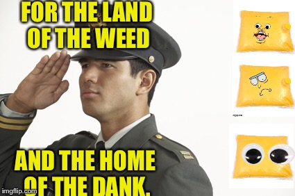FOR THE LAND OF THE WEED AND THE HOME OF THE DANK. | made w/ Imgflip meme maker