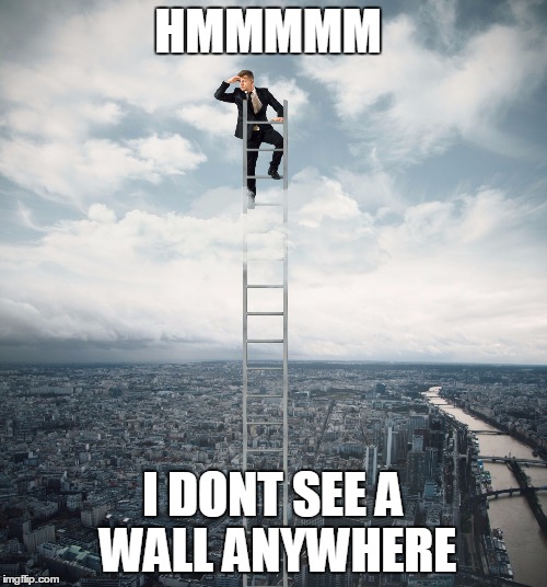 searching | HMMMMM; I DONT SEE A WALL ANYWHERE | image tagged in searching | made w/ Imgflip meme maker