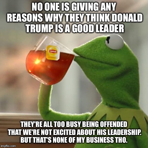 But That's None Of My Business Meme | NO ONE IS GIVING ANY REASONS WHY THEY THINK DONALD TRUMP IS A GOOD LEADER; THEY'RE ALL TOO BUSY BEING OFFENDED THAT WE'RE NOT EXCITED ABOUT HIS LEADERSHIP. BUT THAT'S NONE OF MY BUSINESS THO. | image tagged in memes,but thats none of my business,kermit the frog | made w/ Imgflip meme maker