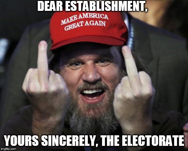 Up Yours | DEAR ESTABLISHMENT, YOURS SINCERELY, THE ELECTORATE | image tagged in pax dickinson,up yours,maga,trump,election 2016,make america great again | made w/ Imgflip meme maker