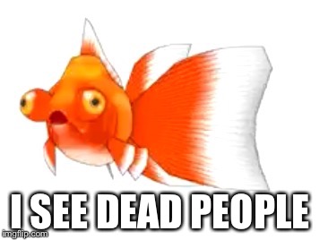 goldfish sees dead people | I SEE DEAD PEOPLE | image tagged in wtf,goldfish,i see dead people | made w/ Imgflip meme maker