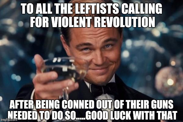 Leonardo Dicaprio Cheers | TO ALL THE LEFTISTS CALLING FOR VIOLENT REVOLUTION; AFTER BEING CONNED OUT OF THEIR GUNS NEEDED TO DO SO.....GOOD LUCK WITH THAT | image tagged in memes,leonardo dicaprio cheers | made w/ Imgflip meme maker