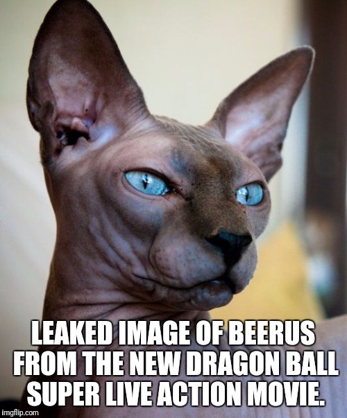 LEAKED IMAGE OF BEERUS FROM THE NEW DRAGON BALL SUPER LIVE ACTION MOVIE. | image tagged in dragon ball super,lord beerus | made w/ Imgflip meme maker