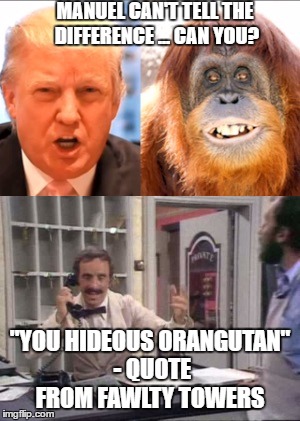 funny orangutan quotes