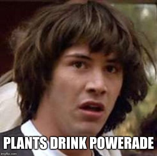 It S Got What Plants Crave Imgflip