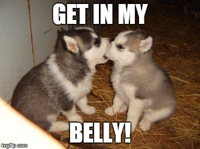 Cute Puppies Meme | GET IN MY; BELLY! | image tagged in memes,cute puppies | made w/ Imgflip meme maker