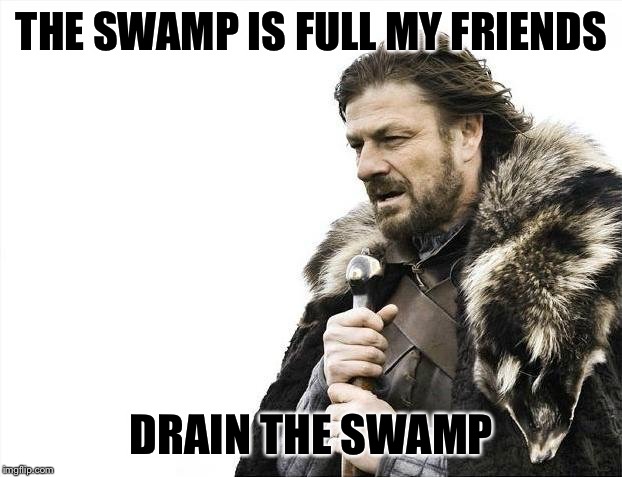 Brace Yourselves X is Coming Meme | THE SWAMP IS FULL MY FRIENDS; DRAIN THE SWAMP | image tagged in memes,brace yourselves x is coming | made w/ Imgflip meme maker