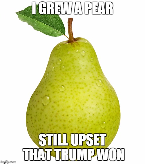 Pear | I GREW A PEAR; STILL UPSET THAT TRUMP WON | image tagged in pear | made w/ Imgflip meme maker