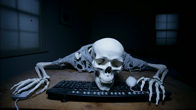 Image result for skeleton at computer