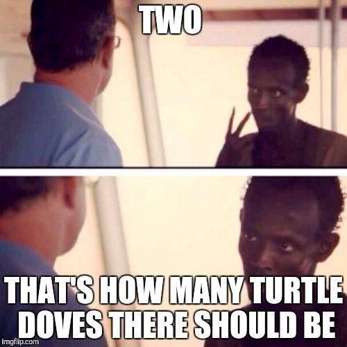 Captain Phillips - I'm The Captain Now | TWO; THAT'S HOW MANY TURTLE DOVES THERE SHOULD BE | image tagged in memes,captain phillips - i'm the captain now | made w/ Imgflip meme maker