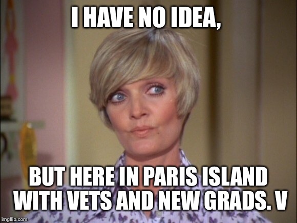 I HAVE NO IDEA, BUT HERE IN PARIS ISLAND WITH VETS AND NEW GRADS. V | made w/ Imgflip meme maker