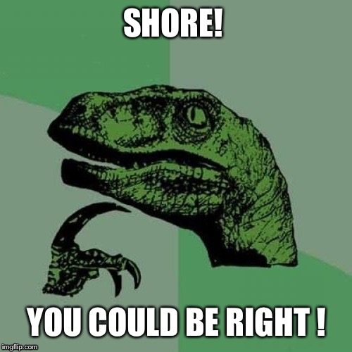 Fliporaptor answer | SHORE! YOU COULD BE RIGHT ! | image tagged in fliporaptor answer | made w/ Imgflip meme maker