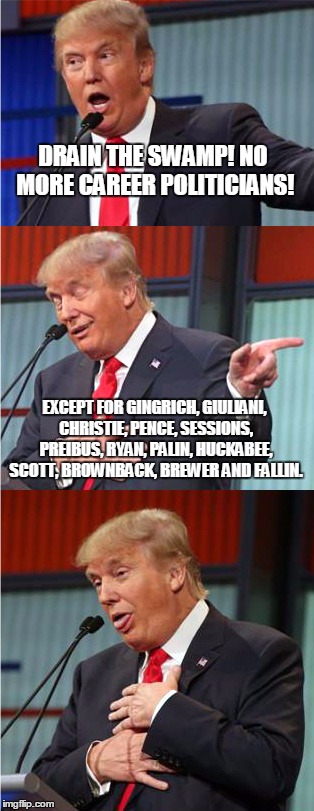 Bad Pun Trump | DRAIN THE SWAMP! NO MORE CAREER POLITICIANS! EXCEPT FOR GINGRICH, GIULIANI, CHRISTIE, PENCE, SESSIONS, PREIBUS, RYAN, PALIN, HUCKABEE, SCOTT, BROWNBACK, BREWER AND FALLIN. | image tagged in bad pun trump | made w/ Imgflip meme maker