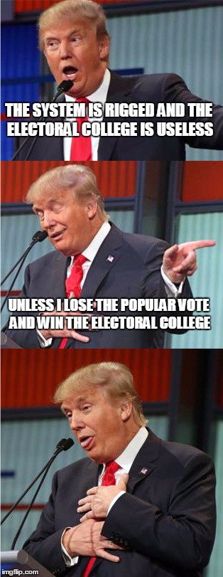 Bad Pun Trump | THE SYSTEM IS RIGGED AND THE ELECTORAL COLLEGE IS USELESS; UNLESS I LOSE THE POPULAR VOTE AND WIN THE ELECTORAL COLLEGE | image tagged in bad pun trump | made w/ Imgflip meme maker